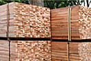 Timber/Wood